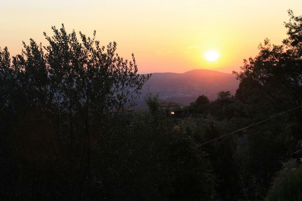 Podere I Rovai-Apt Il Rifugio- In The Heart Of Tuscany Reggello Exterior foto